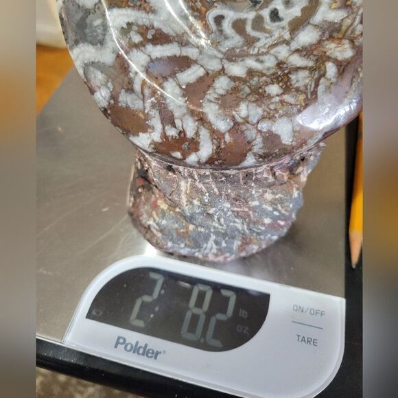 Ammonite & Goniatte Fossil Free Standing - Picture 12 of 12